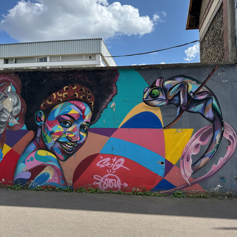 mural in Paris by artist Skio.