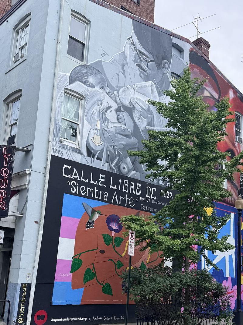 mural in Washington by artist David Leitner.