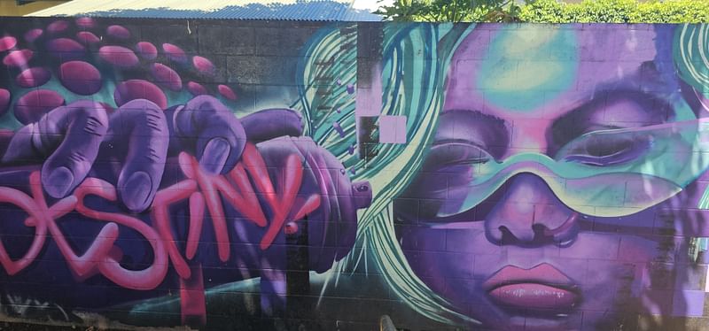 mural in Paia by artist unknown.