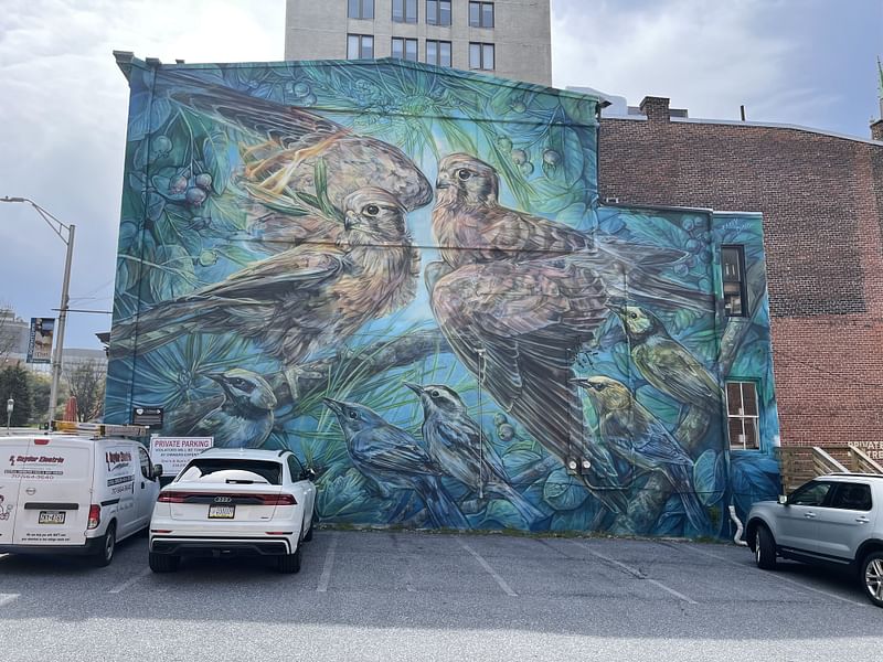 mural in Harrisburg by artist Emily Ding.