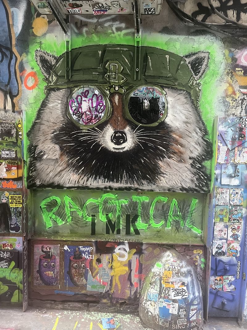 mural in New York by artist unknown.