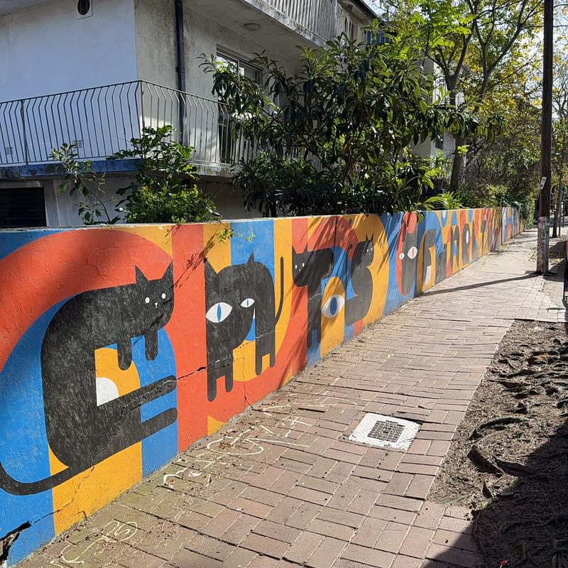 mural in Newtown by artist Rachel Liang.