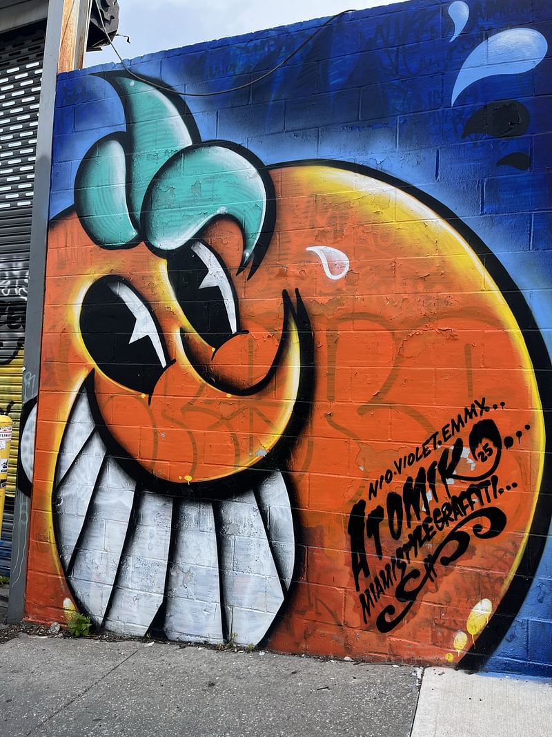 mural in Brooklyn by artist Atomik.