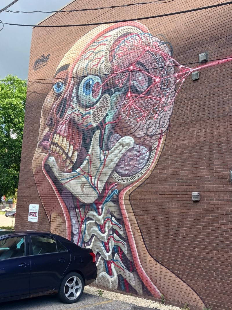 mural in Champaign by artist Nychos.