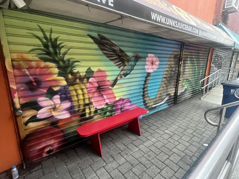 mural in New York by artist Kristy McCarthy.