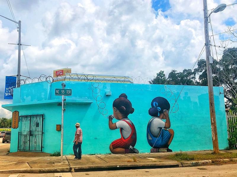 mural in Miami by artist Seth Globepainter.