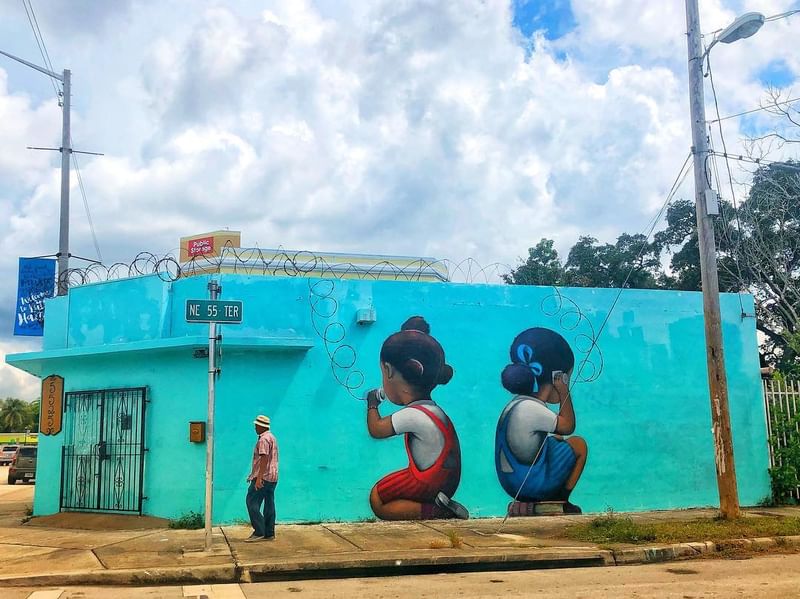 mural in Miami by artist Seth Globepainter.