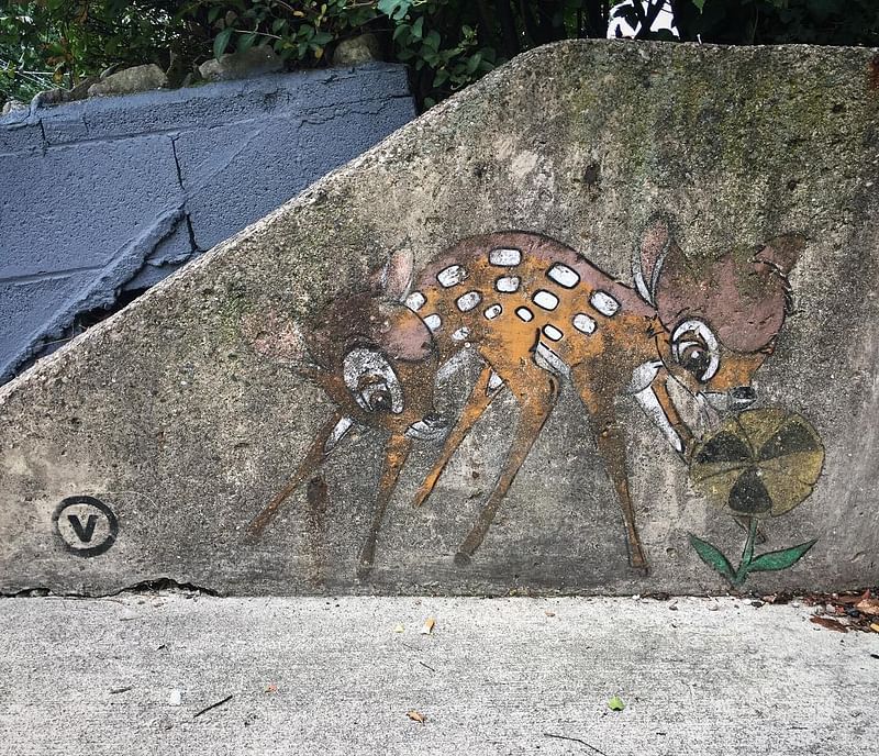 mural in Columbus by artist Vinchen. Tagged: animals