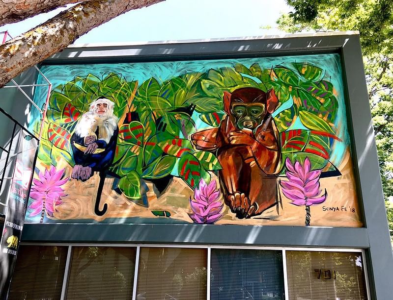 mural in Sacramento by artist Sonya Fe.
