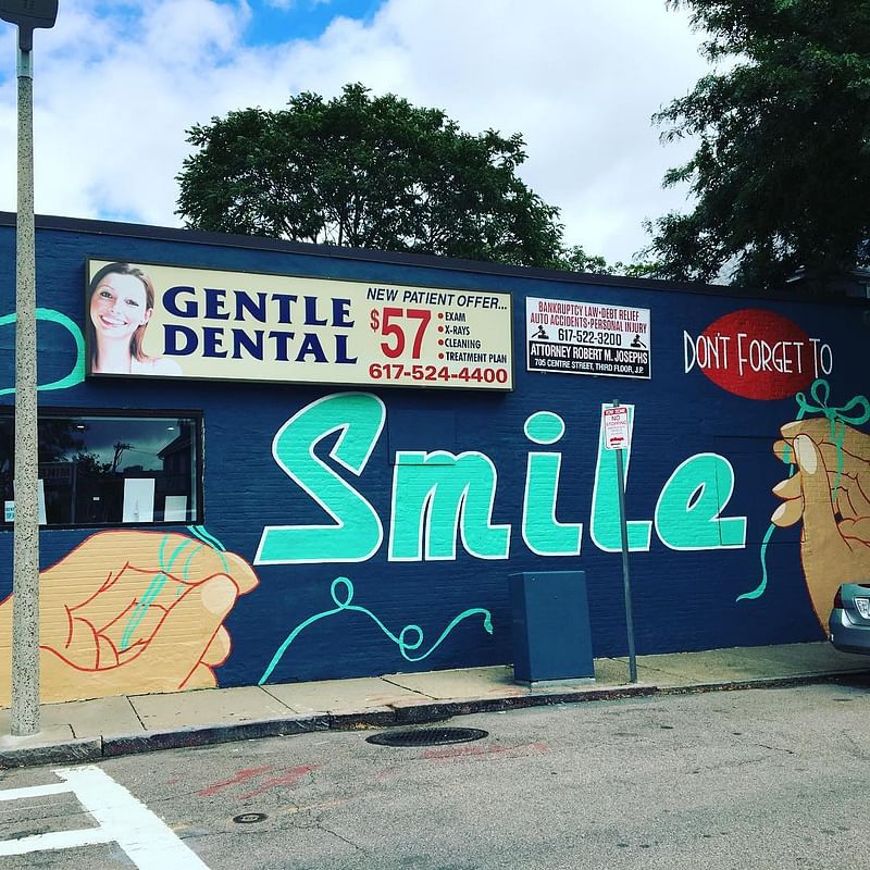 mural in Boston by artist Heidi Schork.