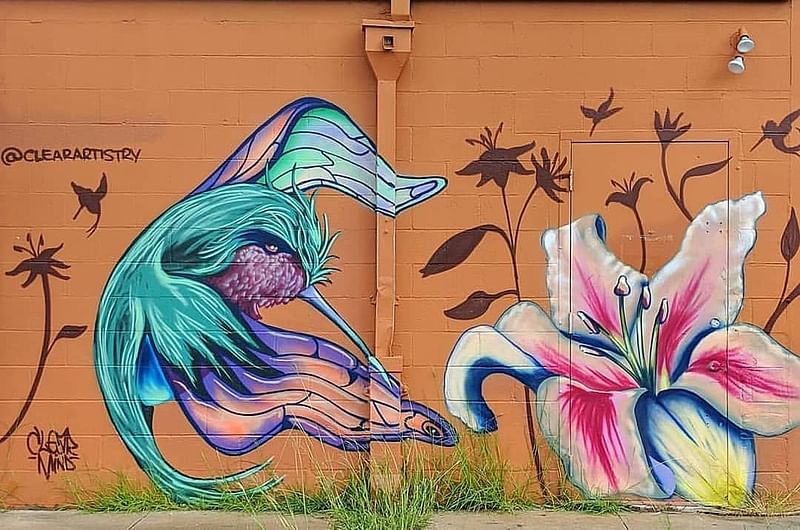 mural in Houston by artist Clear. Tagged: flowers