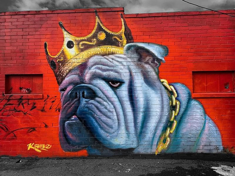 mural in Denver by artist Patrick Kane McGregor. Tagged: animals