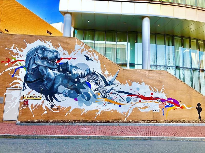 mural in Boston by artist Vise1.