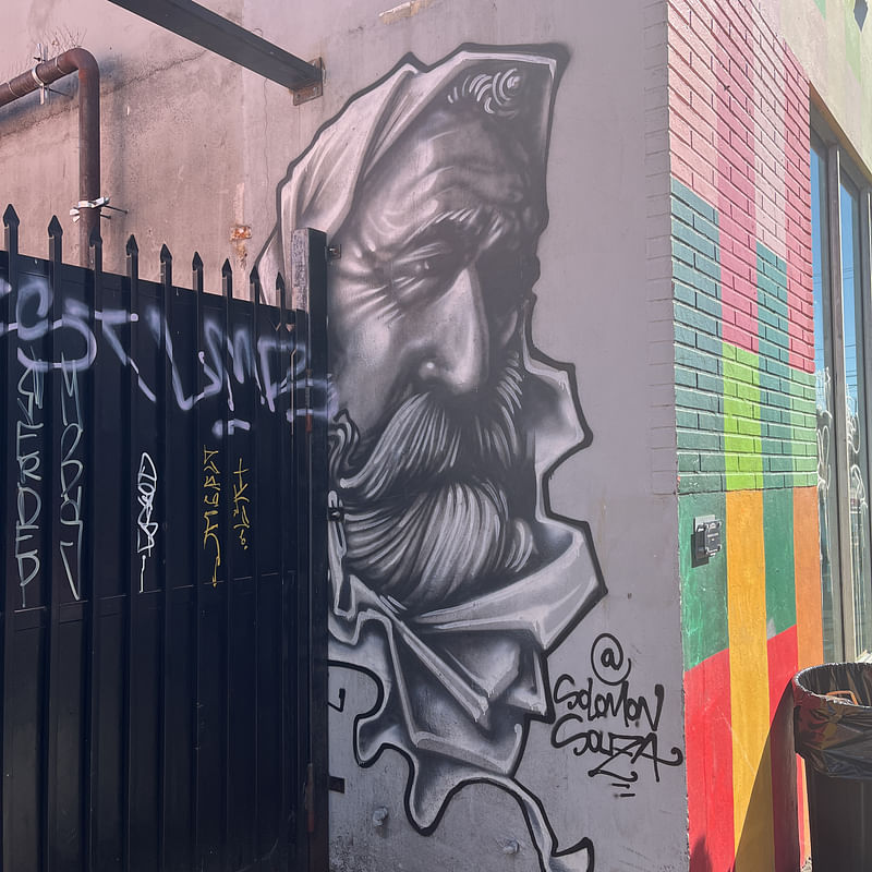 mural in Miami by artist Solomon Souza.