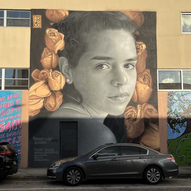 mural in Miami by artist BKFoxx.