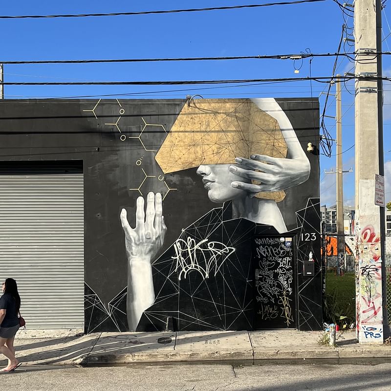 mural in Miami by artist Adrian Avila.