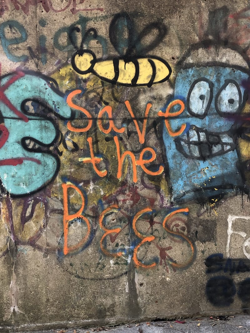 mural in Peoria by artist unknown.