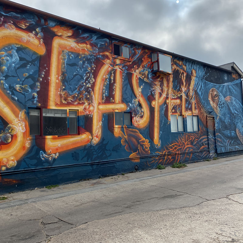 mural in San Diego by artist Carly Ealey.