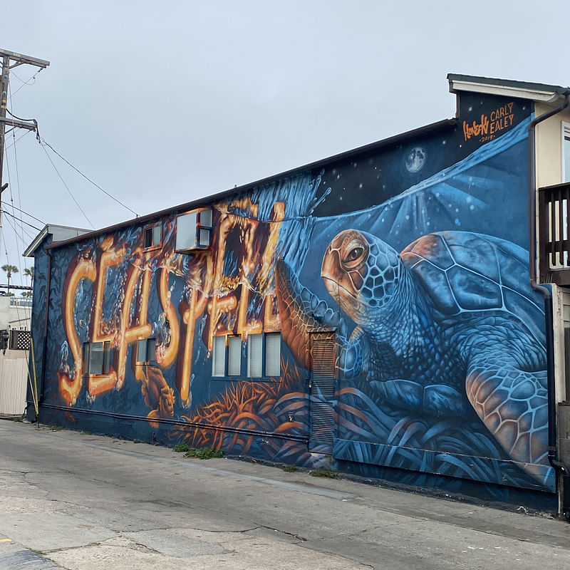 mural in San Diego by artist unknown.