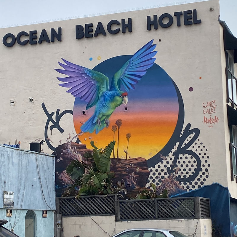 mural in San Diego by artist Carly Ealey.