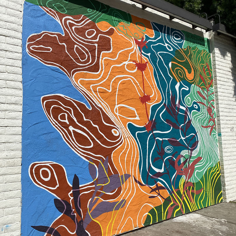 mural in San Diego by artist unknown.