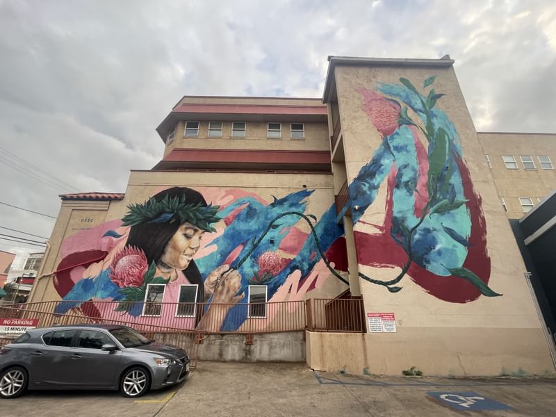 mural in Wailuku by artist MEGGS.