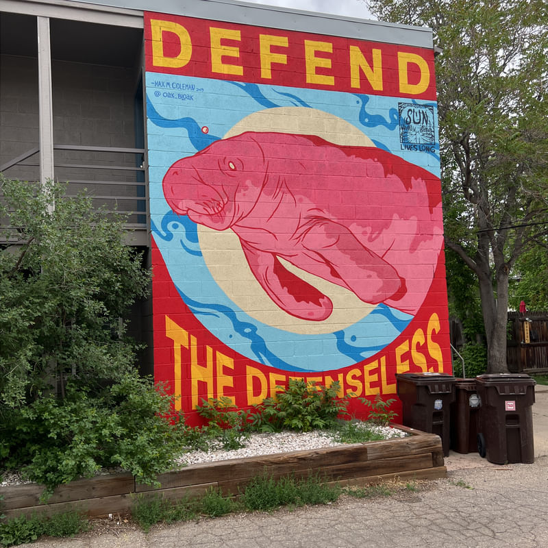 mural in Boulder by artist Max Coleman.