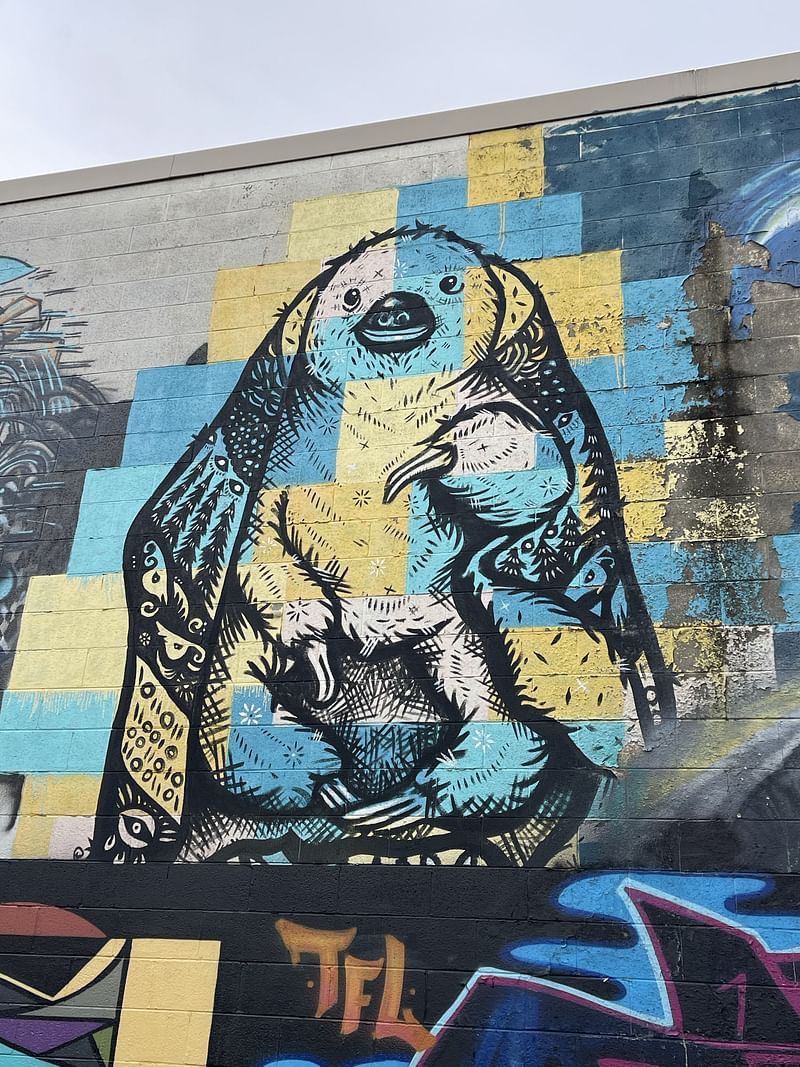 mural in Asheville by artist unknown.