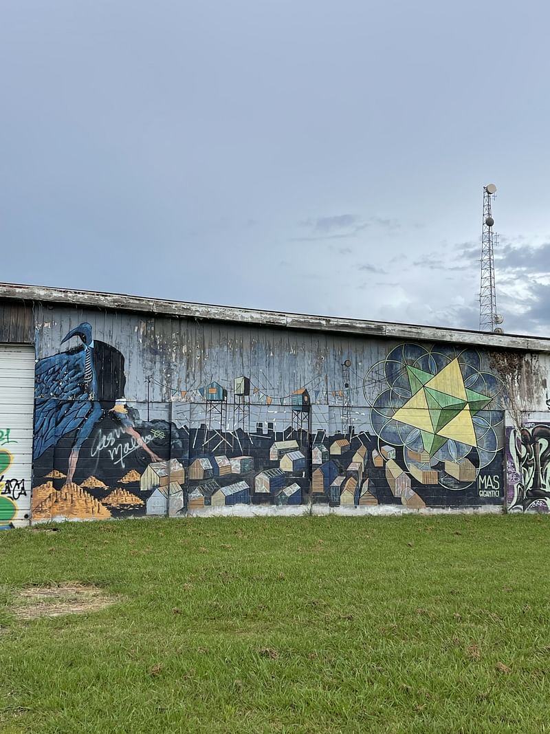 mural in Asheville by artist unknown.