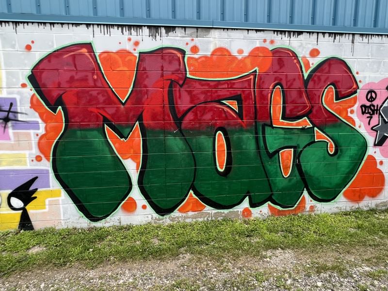mural in Detroit by artist unknown.